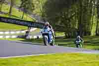 cadwell-no-limits-trackday;cadwell-park;cadwell-park-photographs;cadwell-trackday-photographs;enduro-digital-images;event-digital-images;eventdigitalimages;no-limits-trackdays;peter-wileman-photography;racing-digital-images;trackday-digital-images;trackday-photos